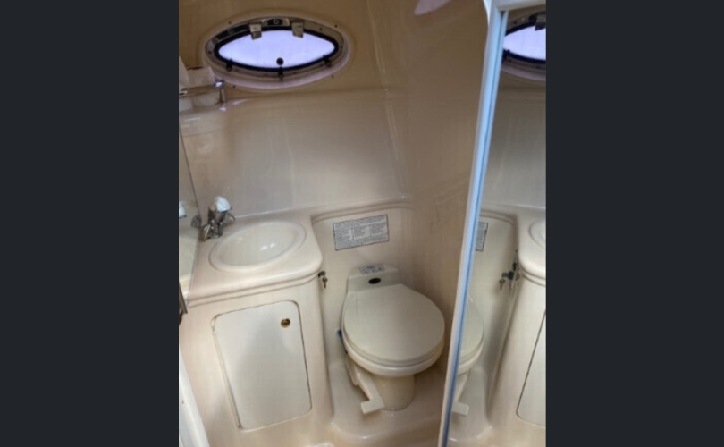 Sea Ray Sundancer 260-kuva-5